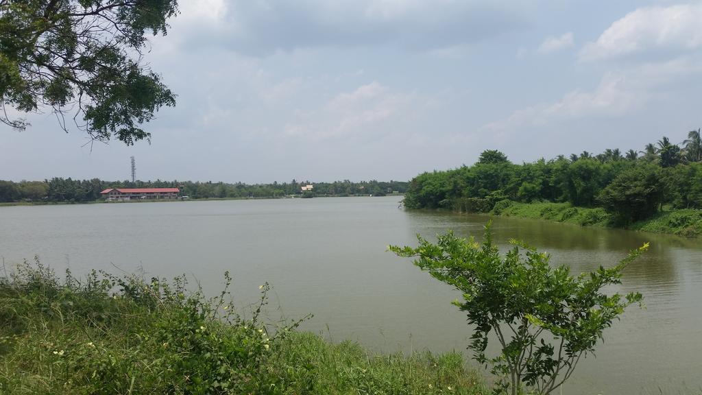 Sunhill Lake Tourist Rest Anuradhapura Luaran gambar