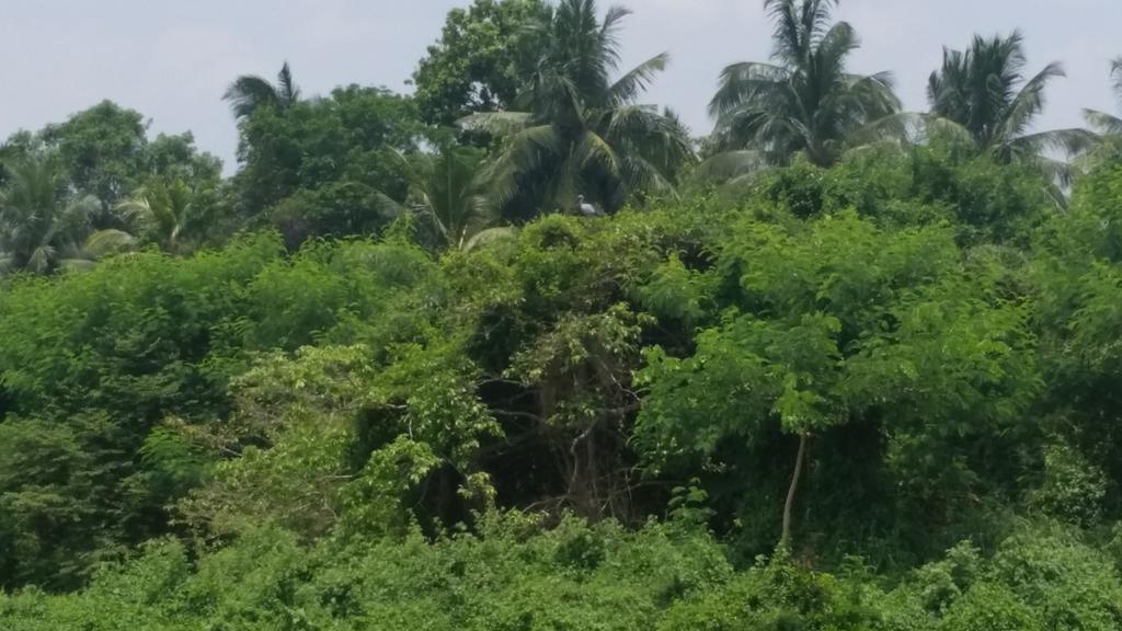 Sunhill Lake Tourist Rest Anuradhapura Luaran gambar